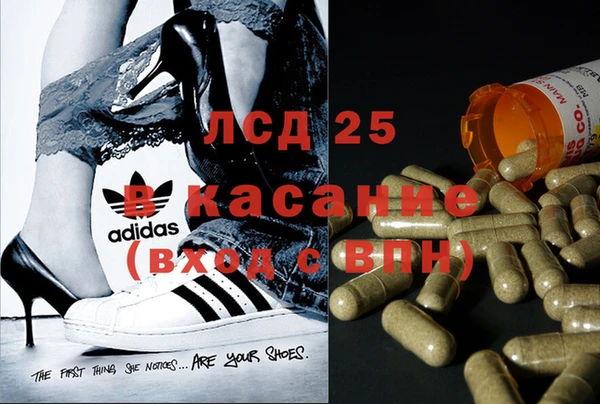 сатива Бронницы