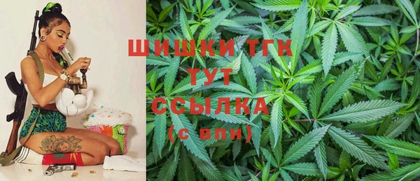 мяу мяу мука Бородино