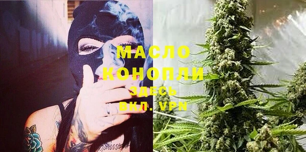 сатива Бронницы
