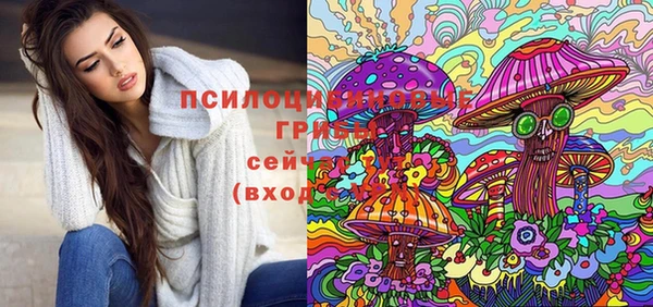 spice Бугульма