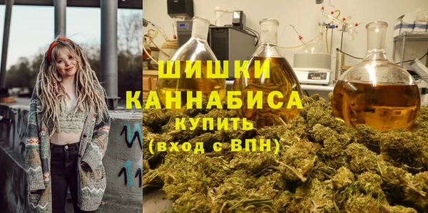 мяу мяу мука Бородино