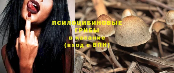 мяу мяу мука Бородино