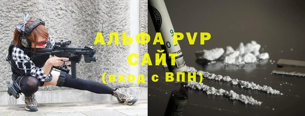 сатива Бронницы