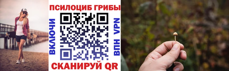 Галлюциногенные грибы Psilocybe Купить Нижняя Тура